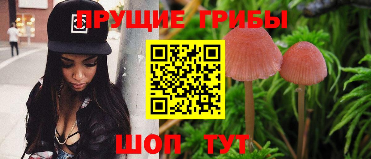 Галлюциногенные грибы ЛСД  Вход с VPN  Курган 