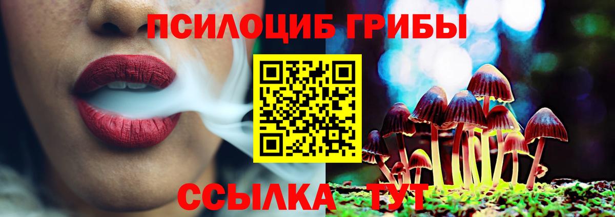 Галлюциногенные грибы мухоморы Курган